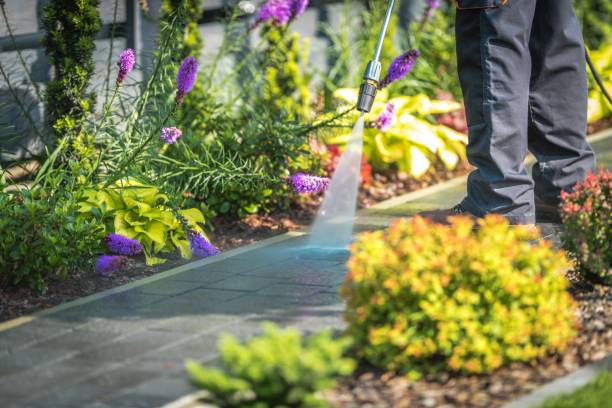 Best Patio and Deck Pressure Washing  in Marshalltown, IA