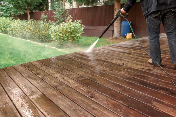 Best Animal Enclosure Cleaning  in Marshalltown, IA